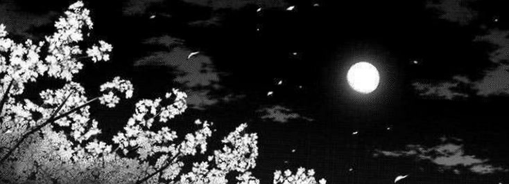 haloluuna23's profile banner image