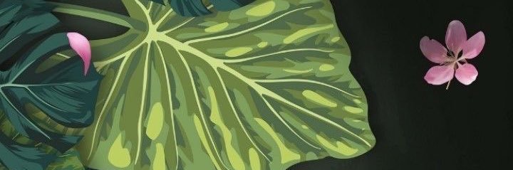 Sagarika_Ch18's profile banner image