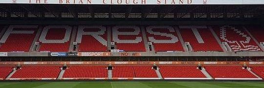 Tiffnffc31's profile banner image