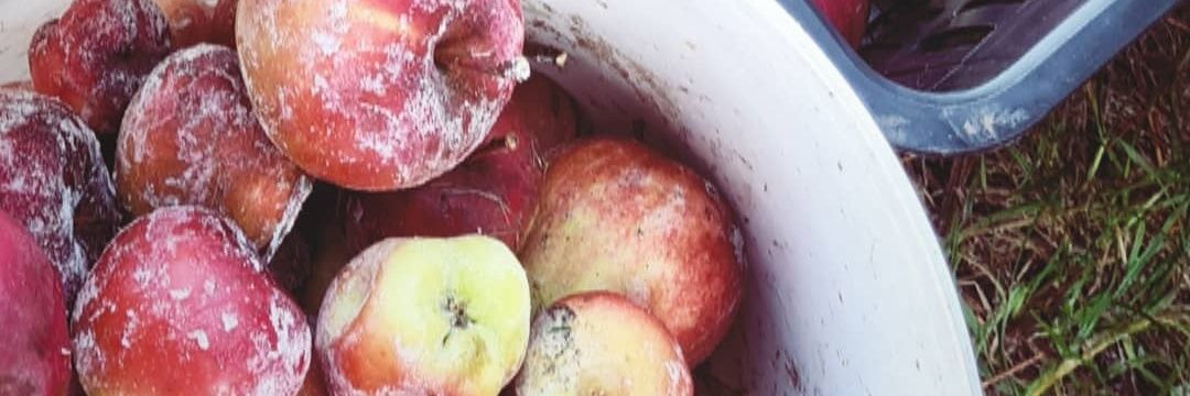 Petr Zahnáš banner