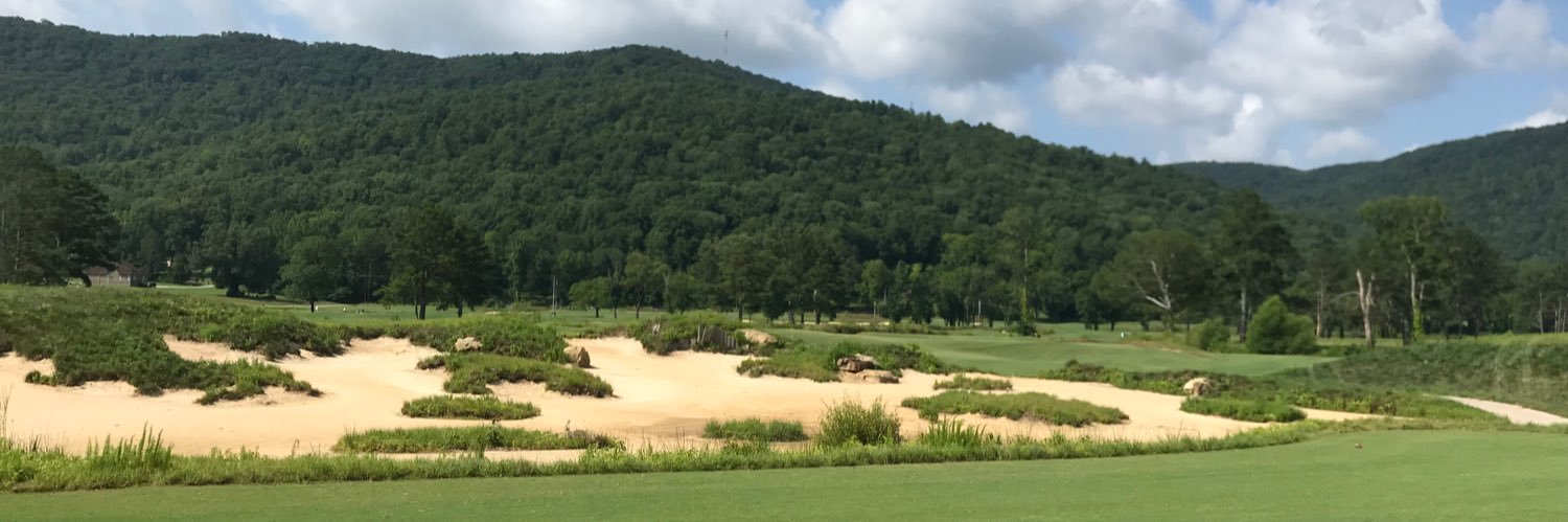 Caleb Williams banner