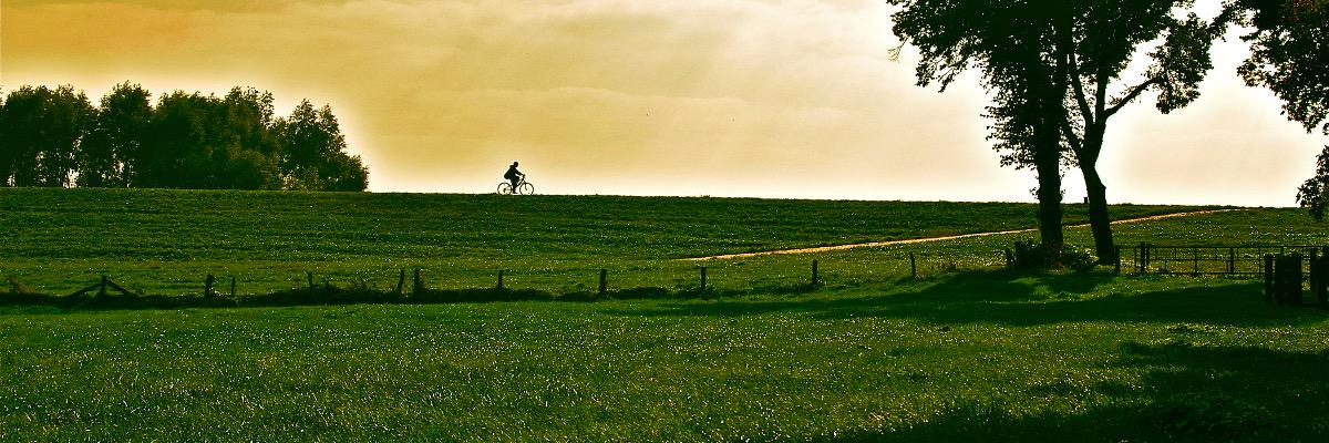 Ferienwohnung Rees banner