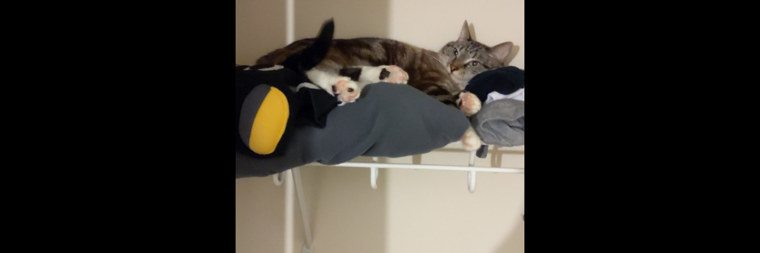 thirdslipper's profile banner image