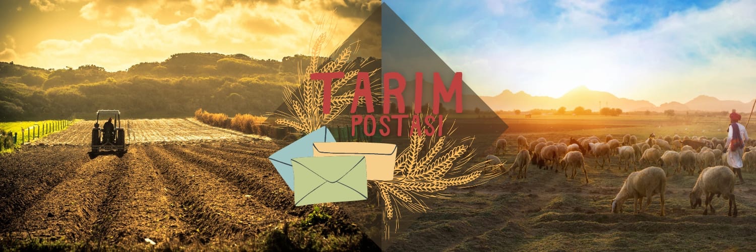 TarimPostasi's profile banner image