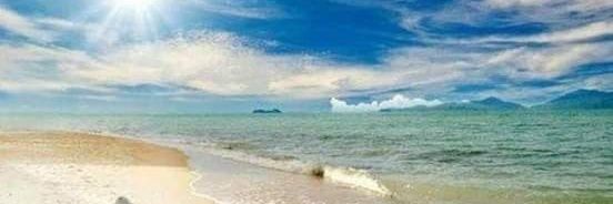 seashell2176's profile banner image