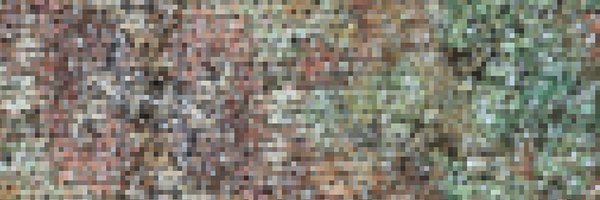 abigail_durrant Profile Banner