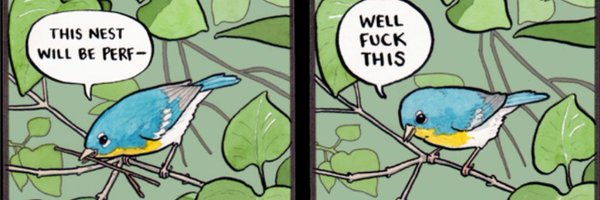 toraritte Profile Banner