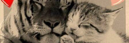 sheldon3180's profile banner image
