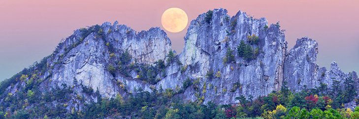 Curtis Metten banner