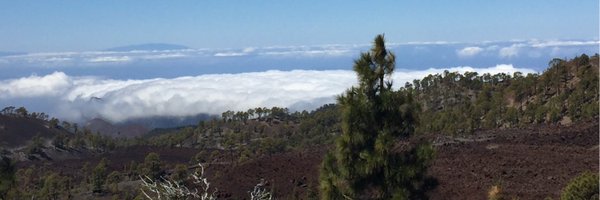 amancayork Profile Banner