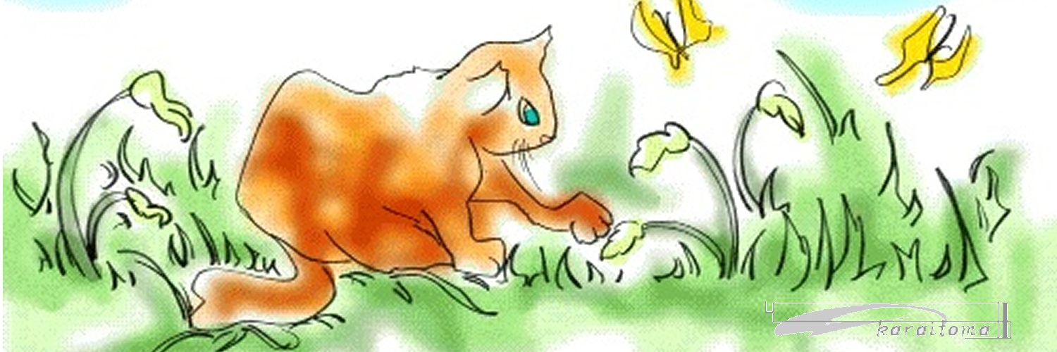 karaitoma's profile banner image