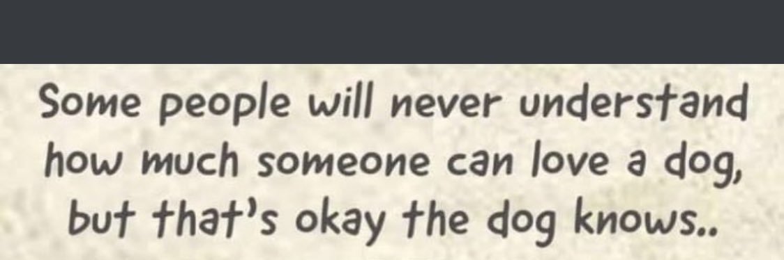 Doggie Mom 🐶 banner