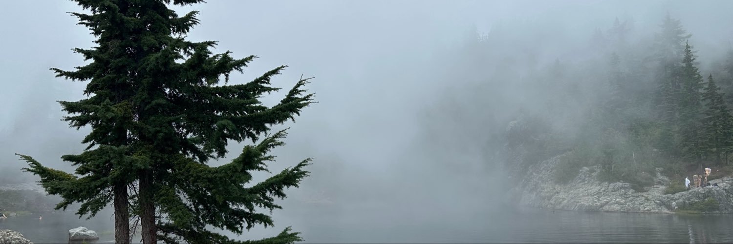 chemapinon's profile banner image