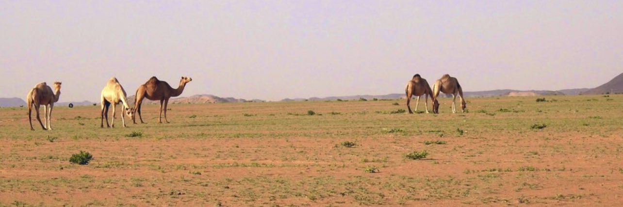 malotaibi668's profile banner image