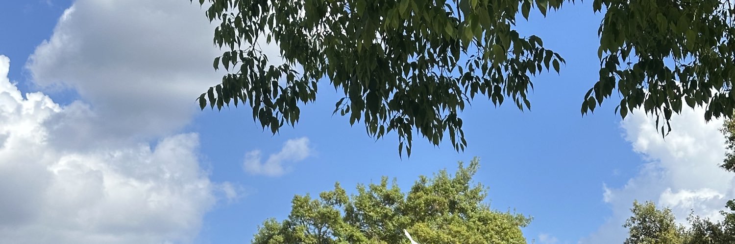 RX banner