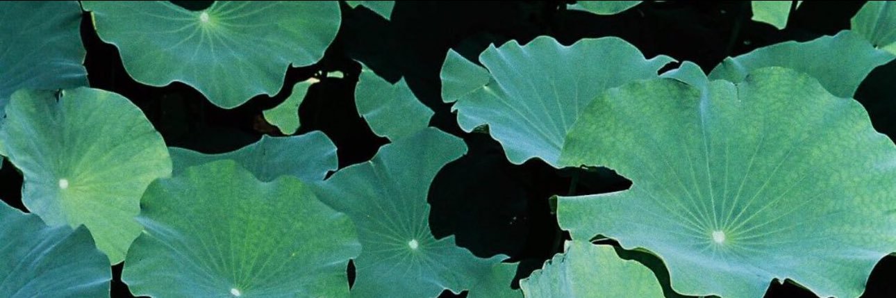 scorpiom888n's profile banner image