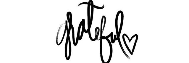 Ms_LeahB's profile banner image