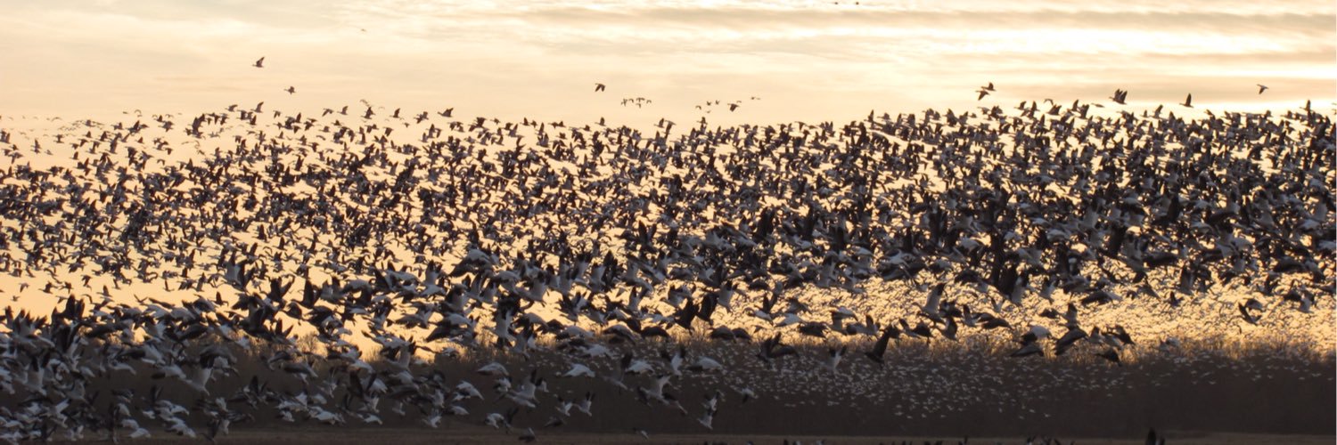 KeVCook68's profile banner image