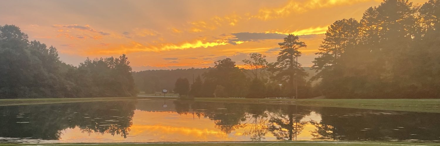 ThackerAllyson's profile banner image