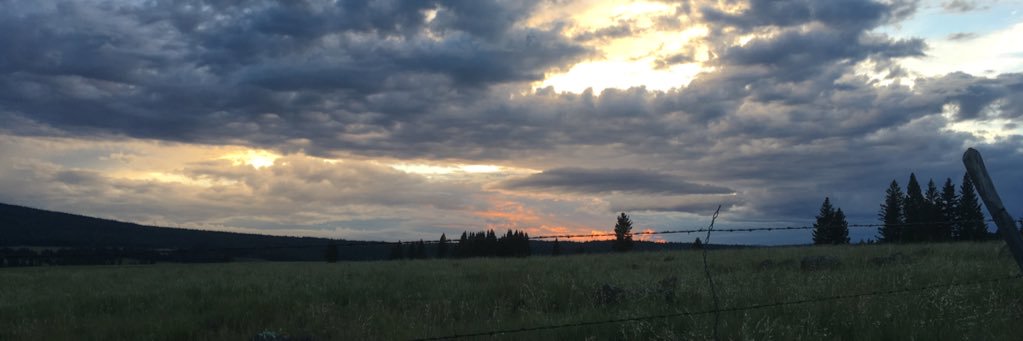 notthatbrooklyn's profile banner image