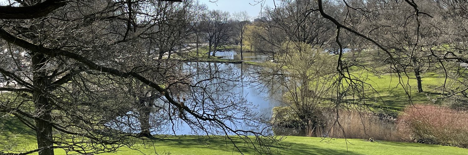 Anne Binderkrantz banner