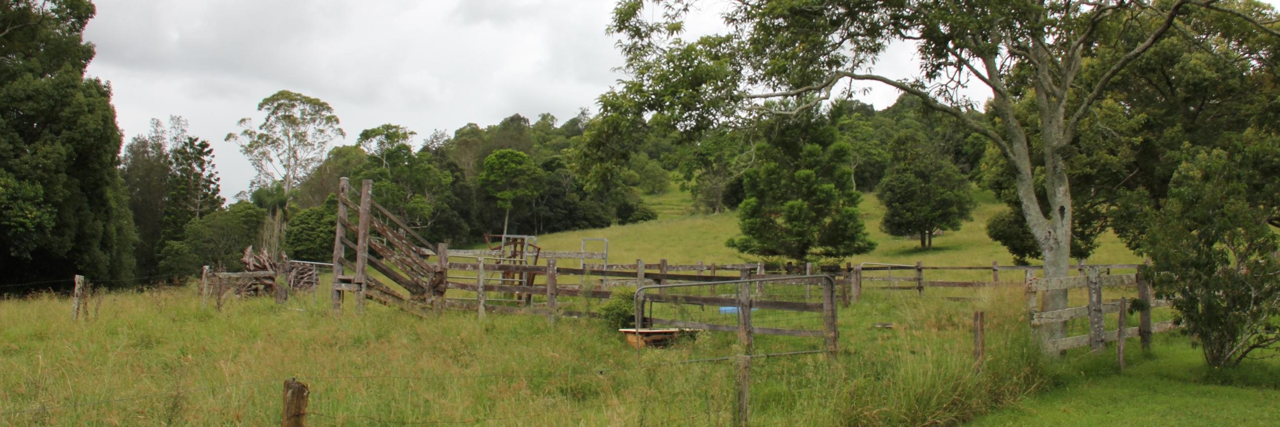 MLockNSW's profile banner image