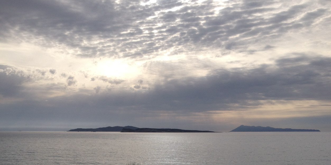 Lin Whitehead banner