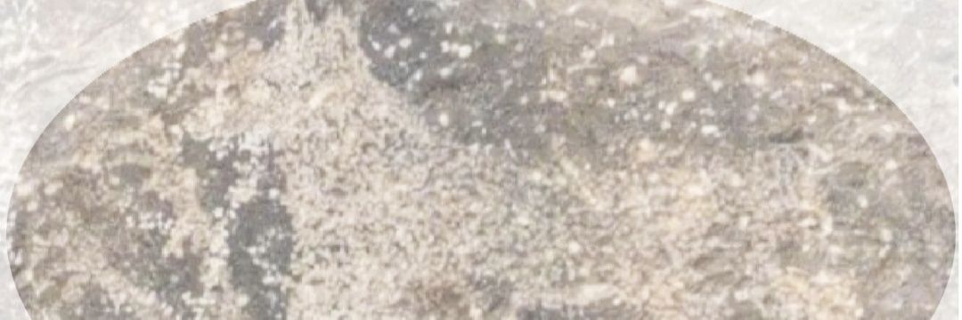 حارث الخروصي 🕯🌎 banner