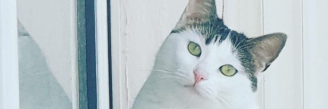 ekesamet's profile banner image