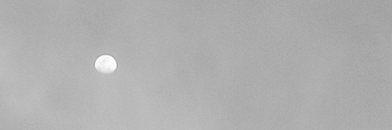 mnuesska's profile banner image