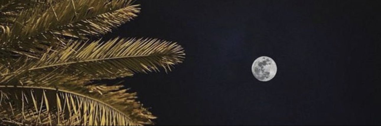YAQ_MS's profile banner image