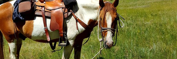 DeborahofNevada Profile Banner