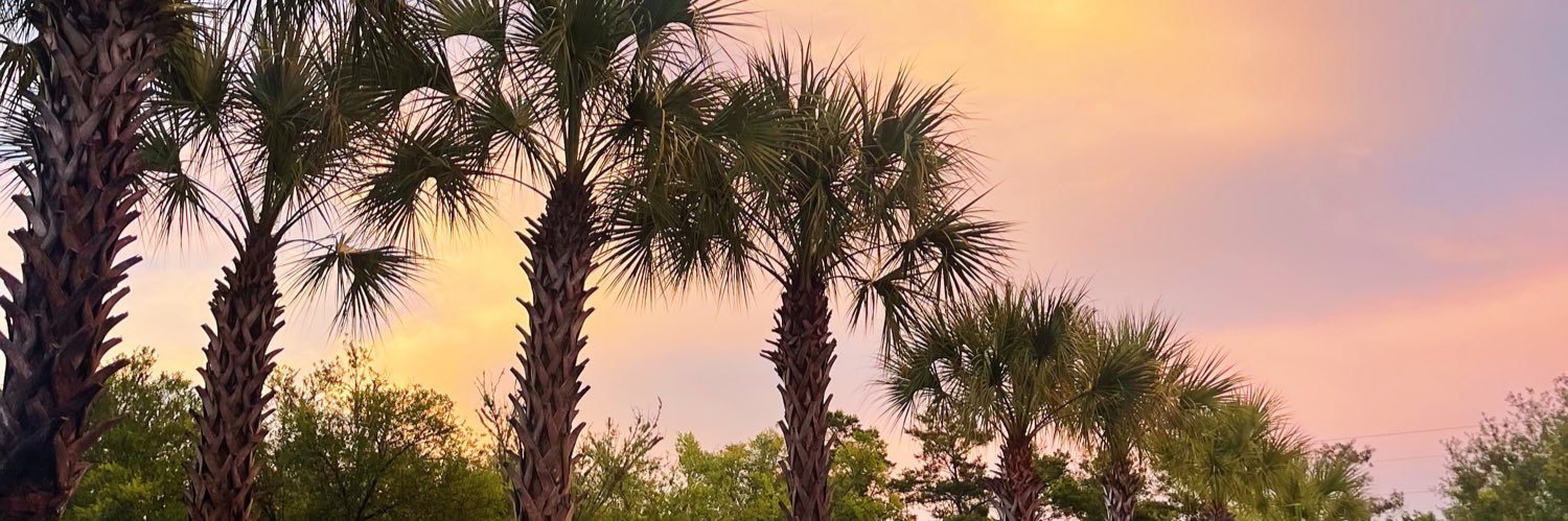 Kat_Martinn's profile banner image