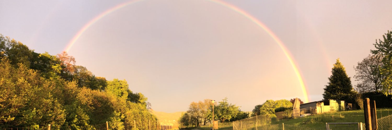 TimPWalsh's profile banner image