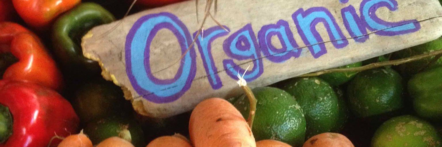 SamaraOrganics's profile banner image