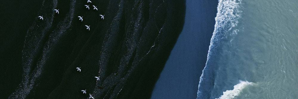 Brivo banner