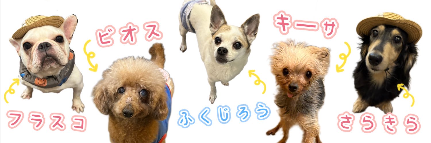 保護犬カフェ®鶴橋店 banner