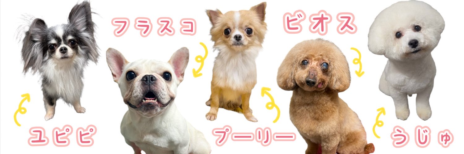 hogokencafet's profile banner image
