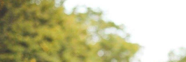 javierhernannun's profile banner image