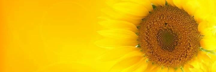 abdalrahim35's profile banner image