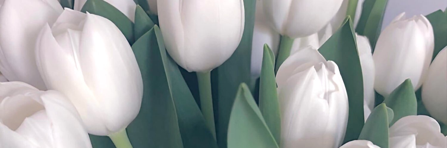 ties831's profile banner image
