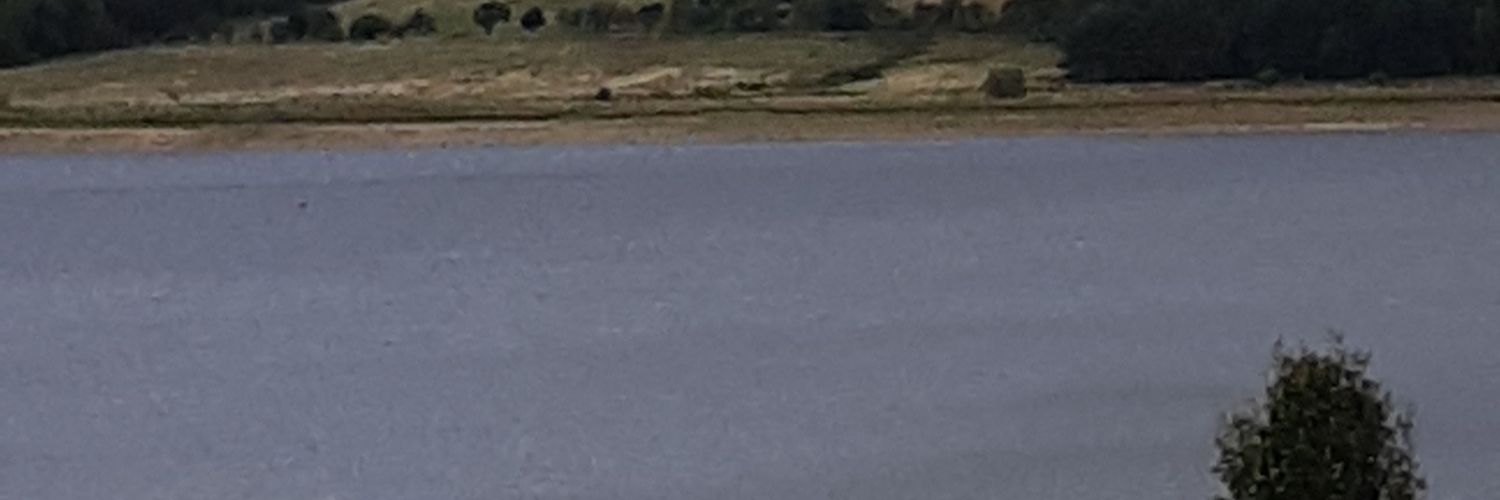 leedee85's profile banner image