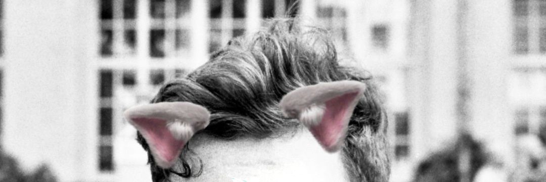 asdfasdf banner