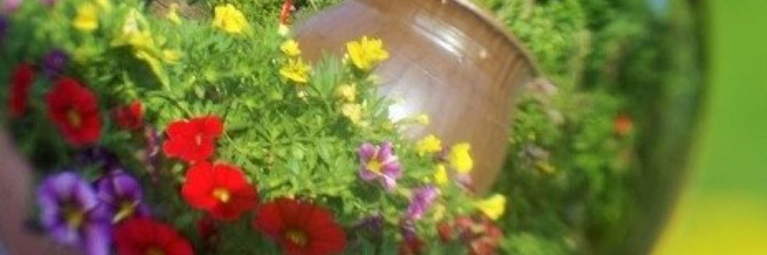 sadal0206's profile banner image
