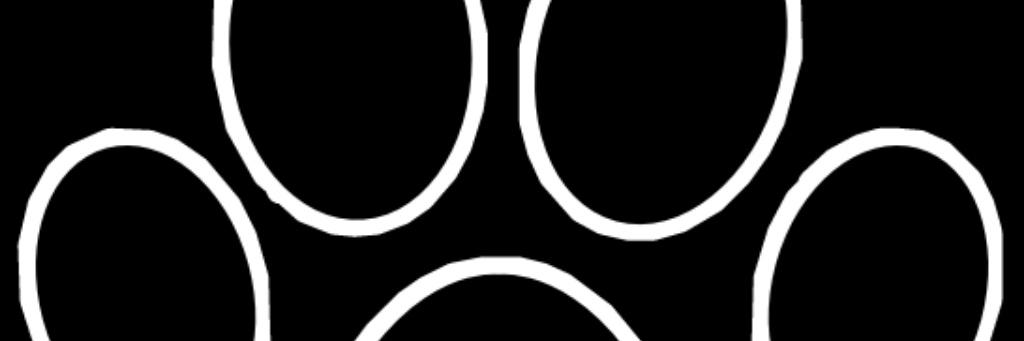 babimedvet_'s profile banner image