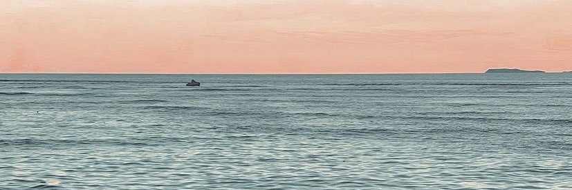 mikeemeows's profile banner image
