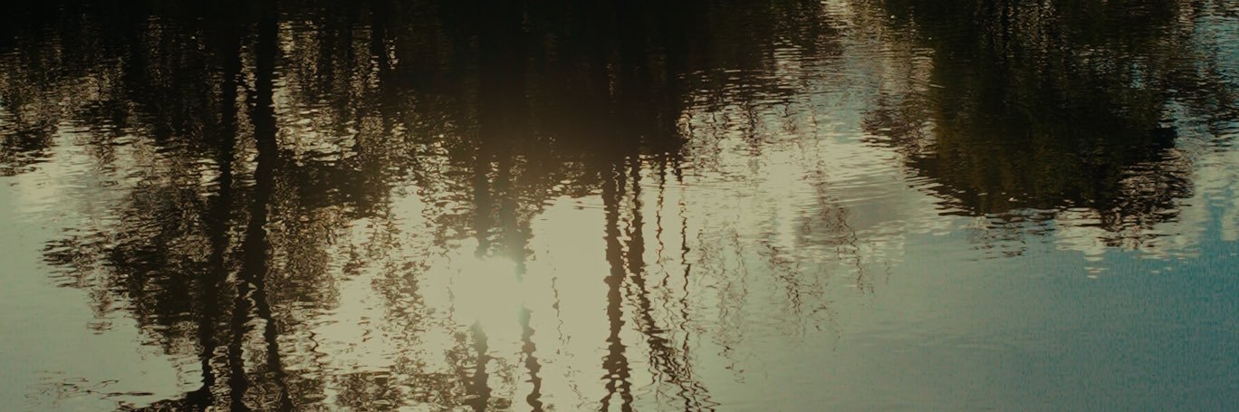 Shanik Tanna's banner