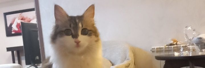 matmatildaaaa's profile banner image