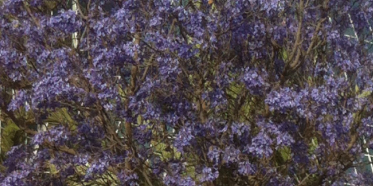 aboyazeed20131's profile banner image