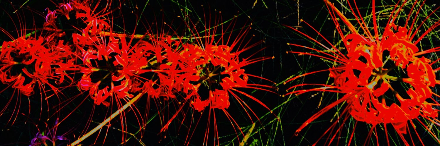 L_TA6's profile banner image